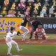 Image for article titled Pokémon Plush Toys Gather To Watch Korean Baseball